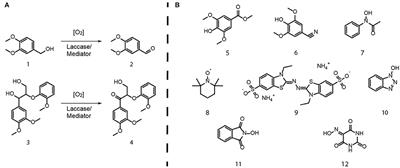 Applicability of Recombinant Laccases From the White-Rot Fungus Obba rivulosa for Mediator-Promoted Oxidation of Biorefinery Lignin at Low pH